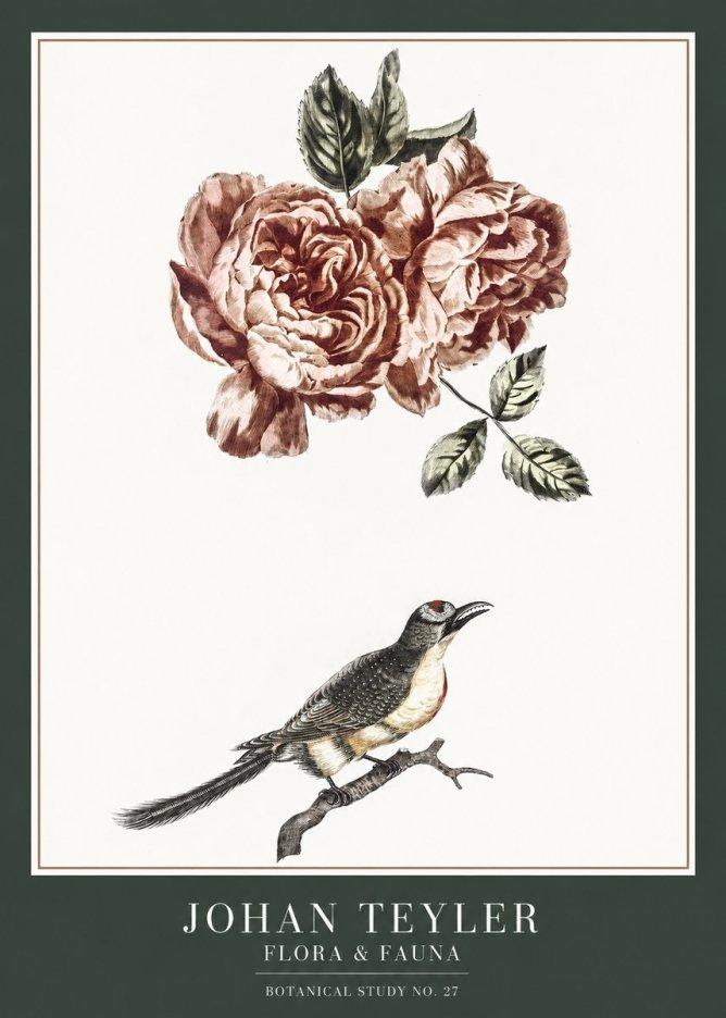 Johan Teyler Rose and Bird II No6 - Poster