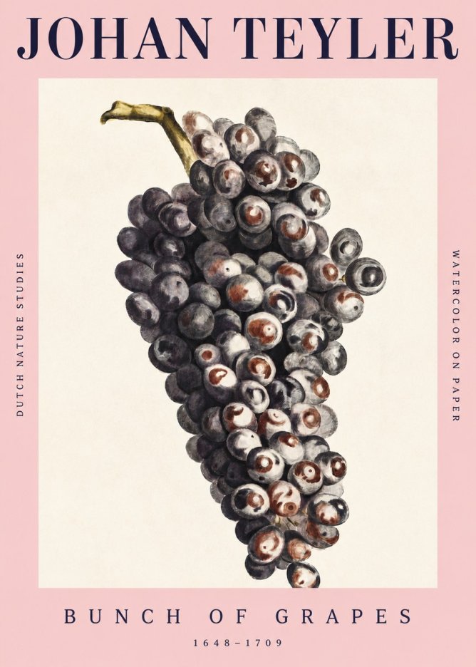 Johan Teyler Bunch of Grapes No4 - Poster