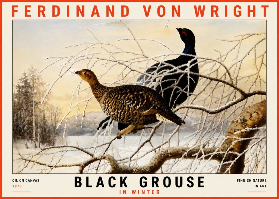 Ferdinand von Wright Black Grouse in Winter No5 - Poster