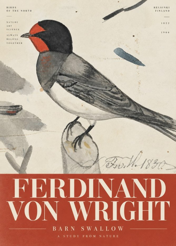Ferdinand von Wright The Swallow No6 - Poster