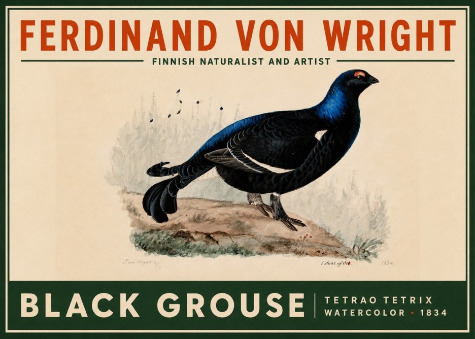Ferdinand von Wright Black Grouse No2 - Poster