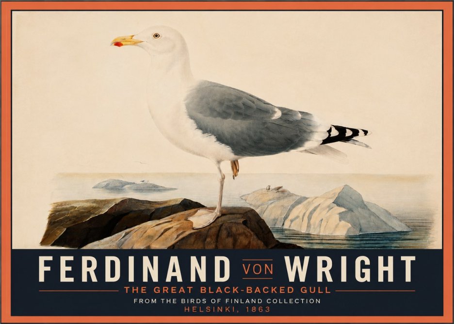 Ferdinand von Wright The Great Black-backed Gull No4 - Poster