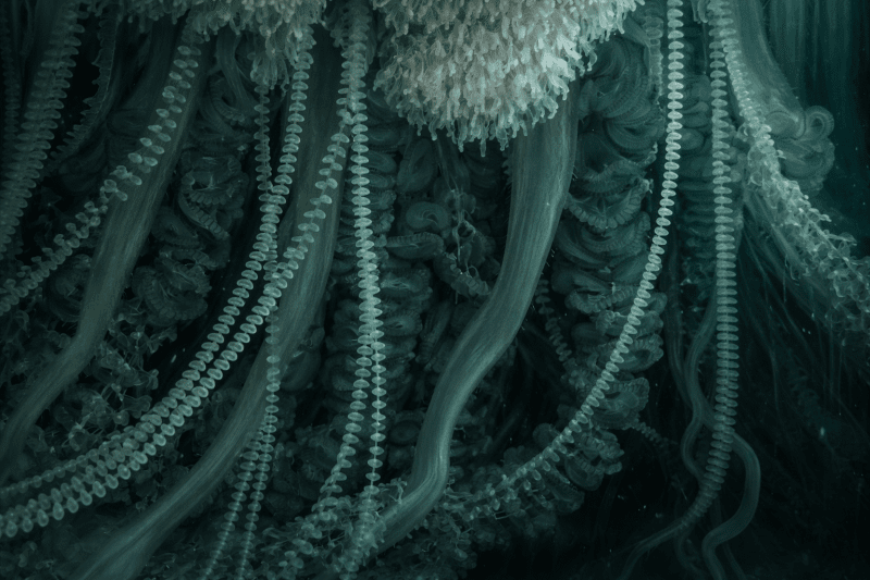 Uploaded
wallpaper