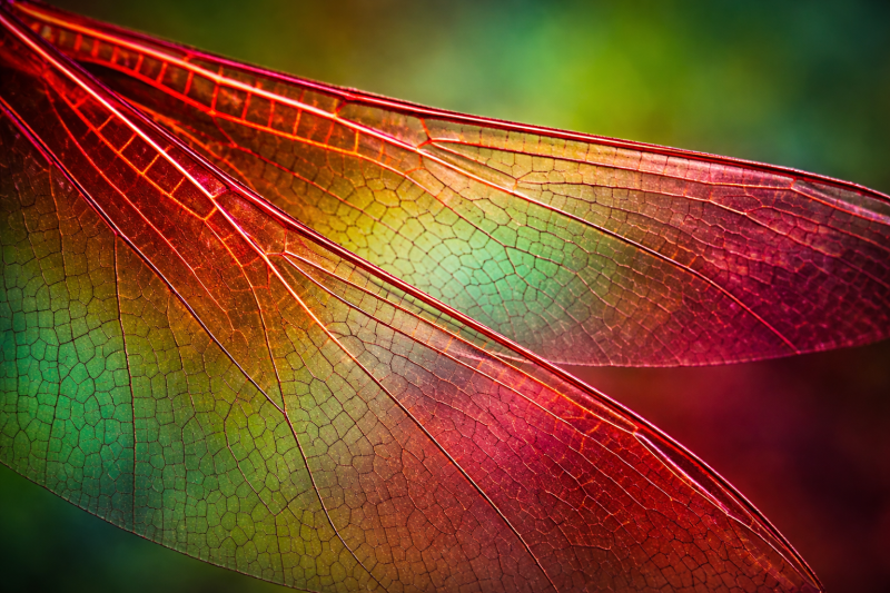 Uploaded
wallpaper