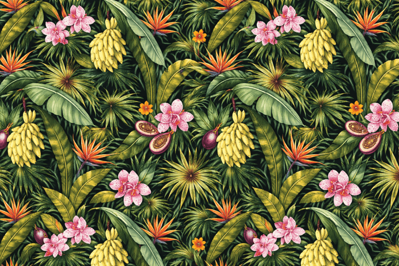 Uploaded
wallpaper