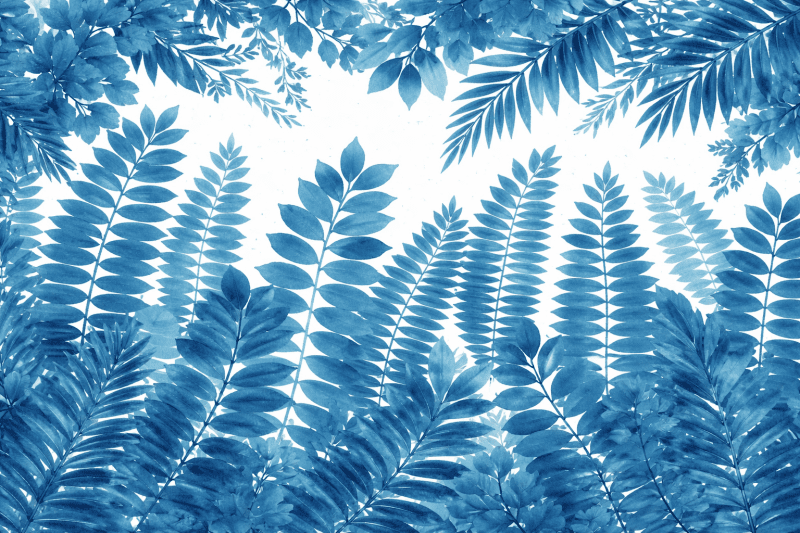 Uploaded
wallpaper