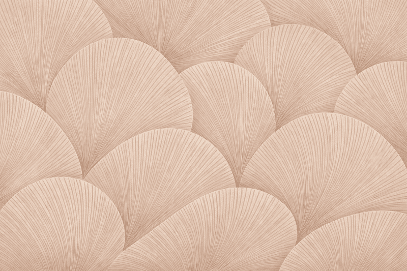 Uploaded
wallpaper