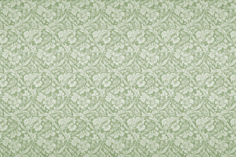 Uploaded
wallpaper