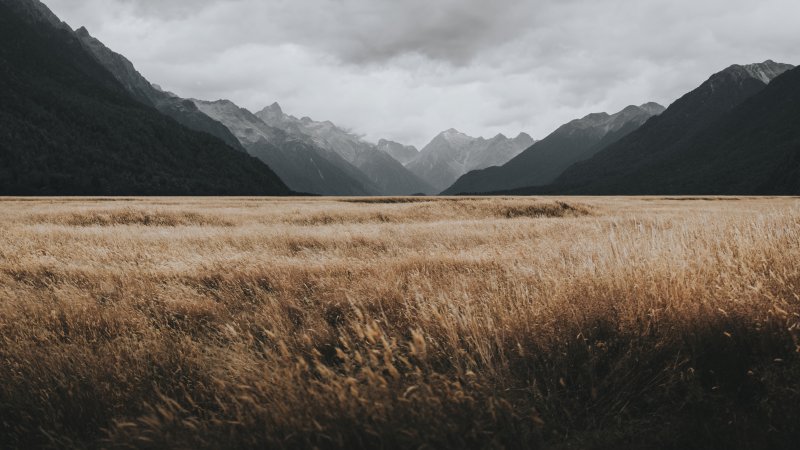 Uploaded
wallpaper