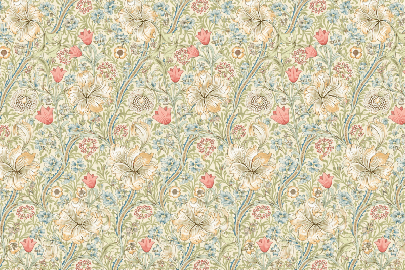 Uploaded
wallpaper