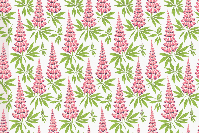 Uploaded
wallpaper