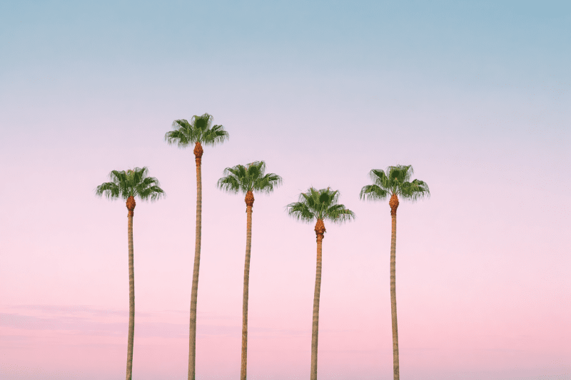 Uploaded
wallpaper
