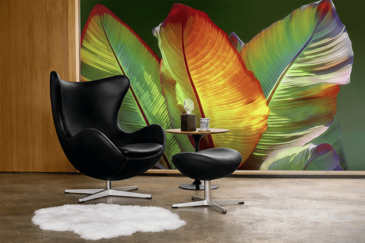 Vibrant Foliage
