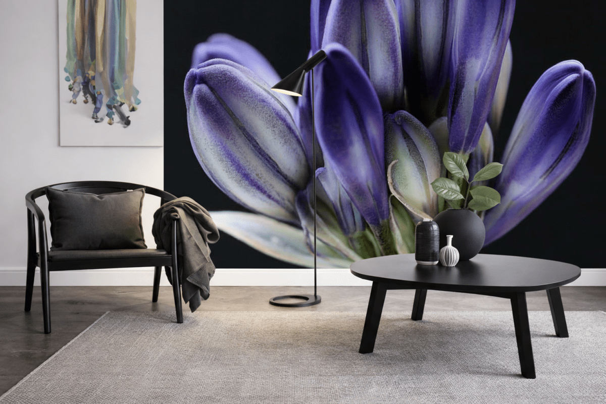 Fjord Reverberations