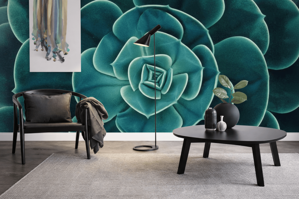 Succulent Echo