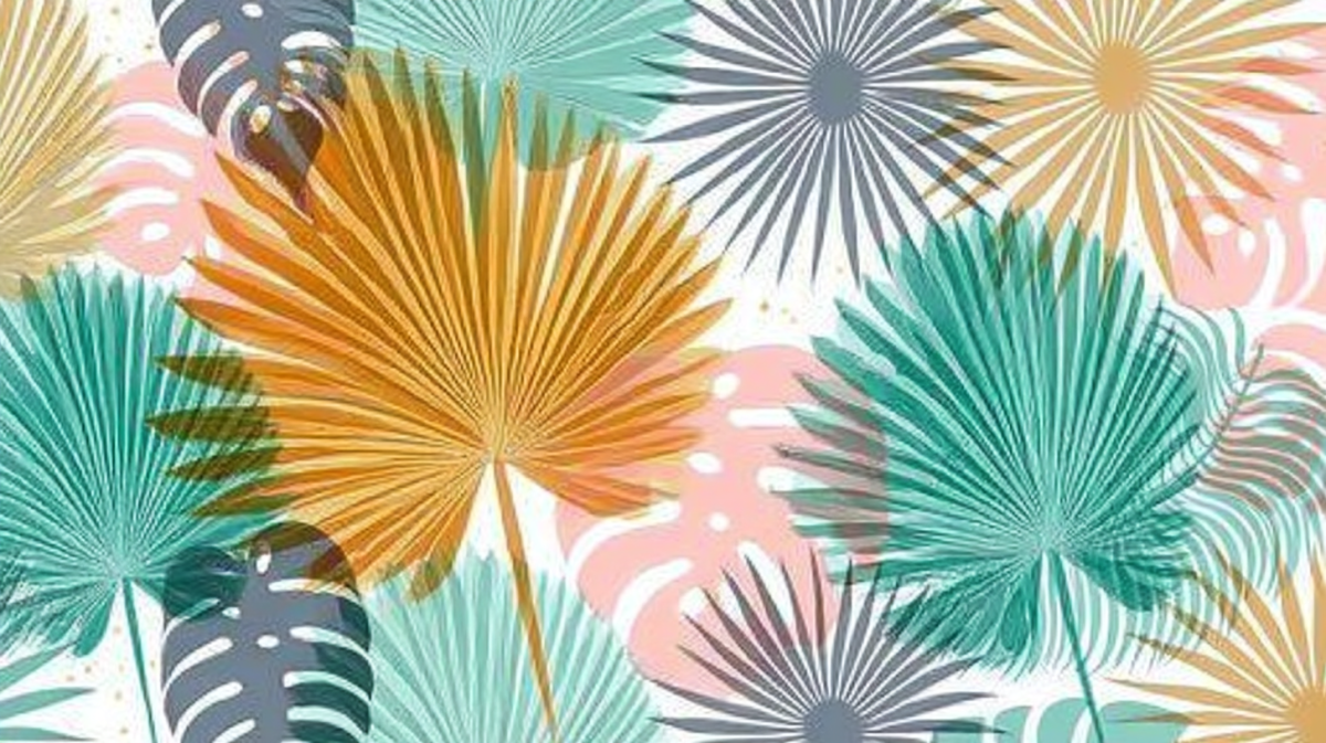 Palmetto Infusion