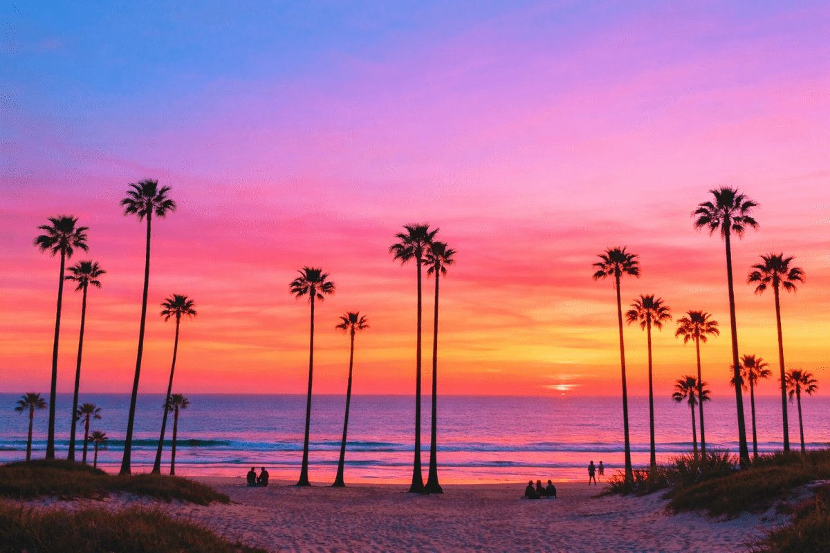 Tropic Vista