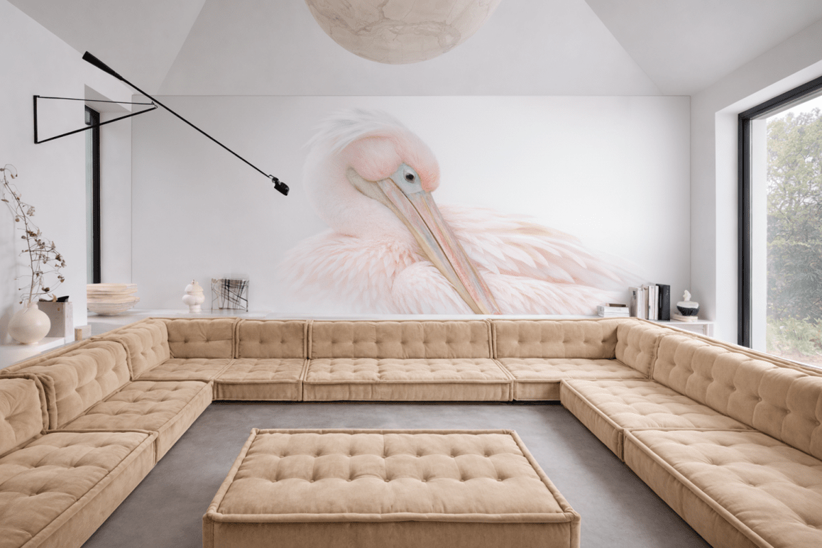 Blush Feathers