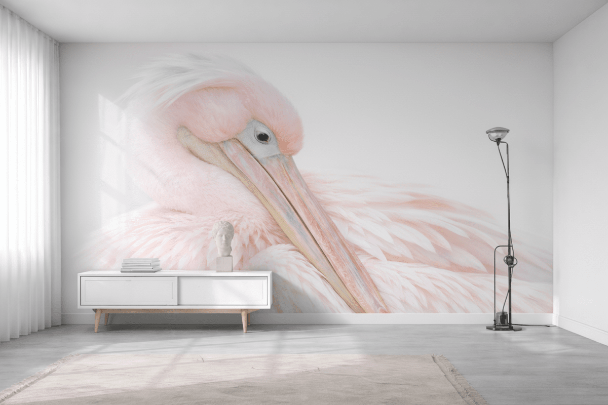 Blush Feathers