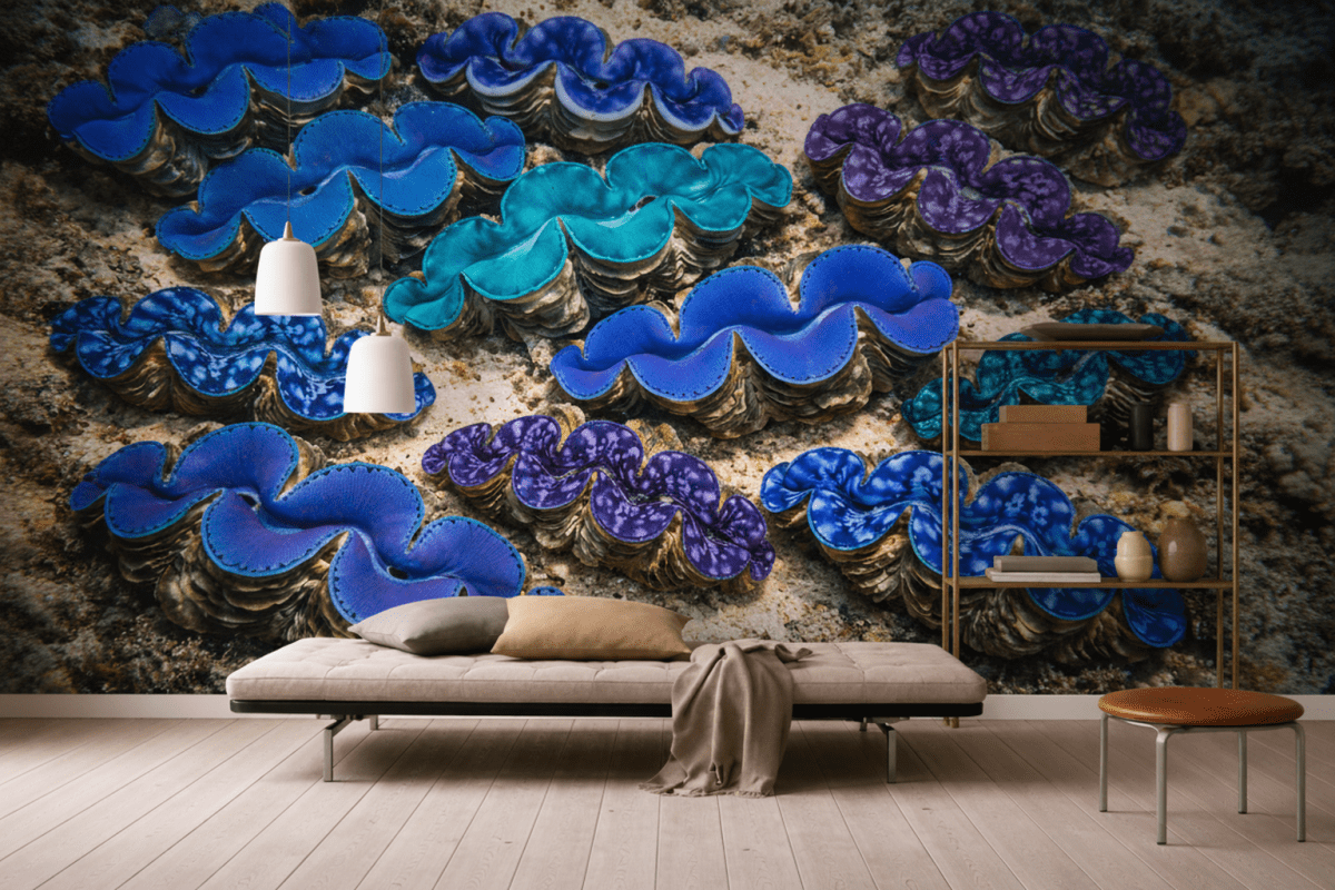Luminous Clam Shells