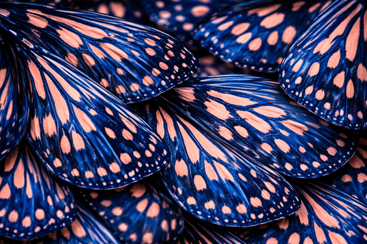 Whimsical Wing Tapestry