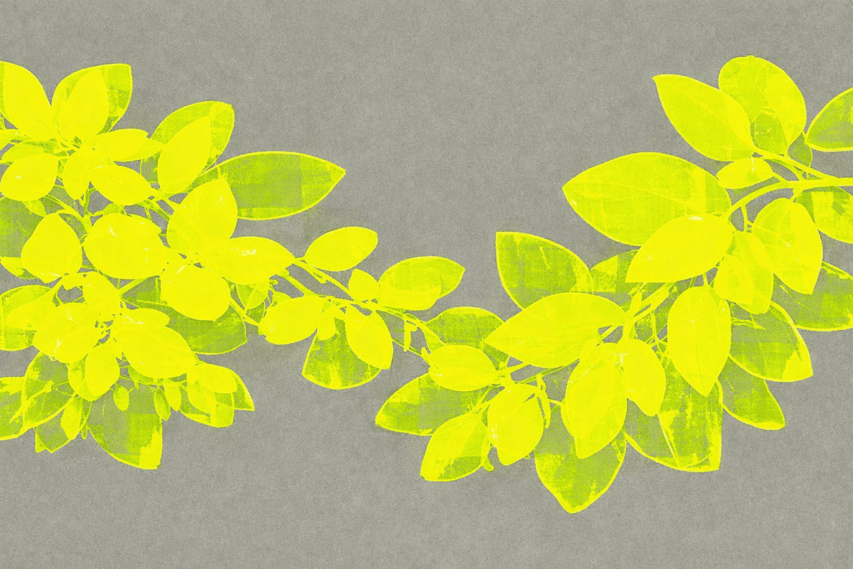 Luminous Foliage Arch