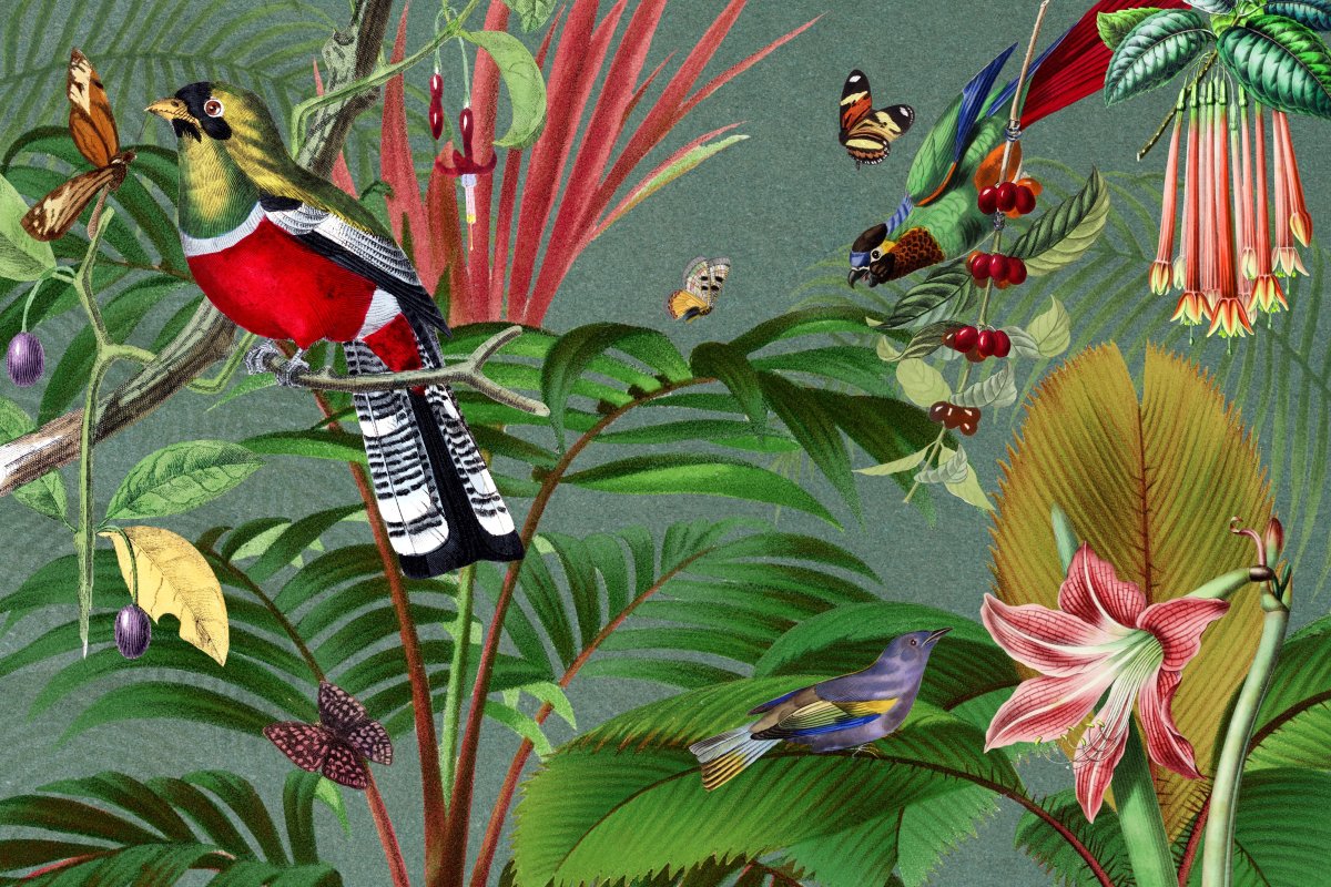 Tropical Inkblot