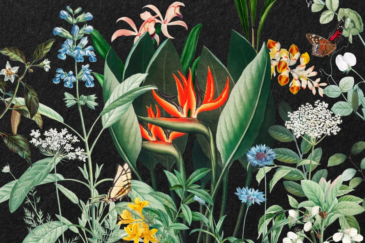 Tropical Blooms Arrangement