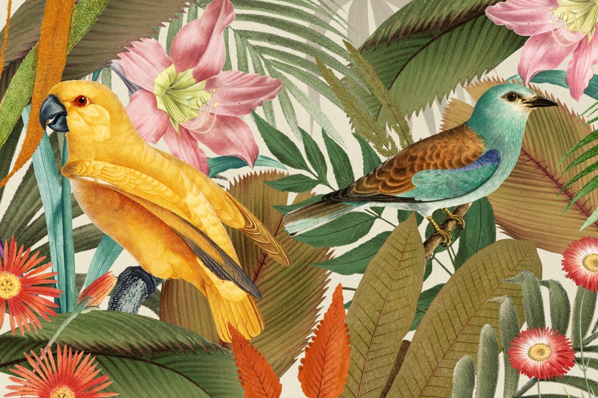 Tropical Pulse