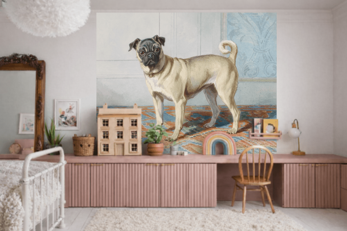 Pug Portraiture