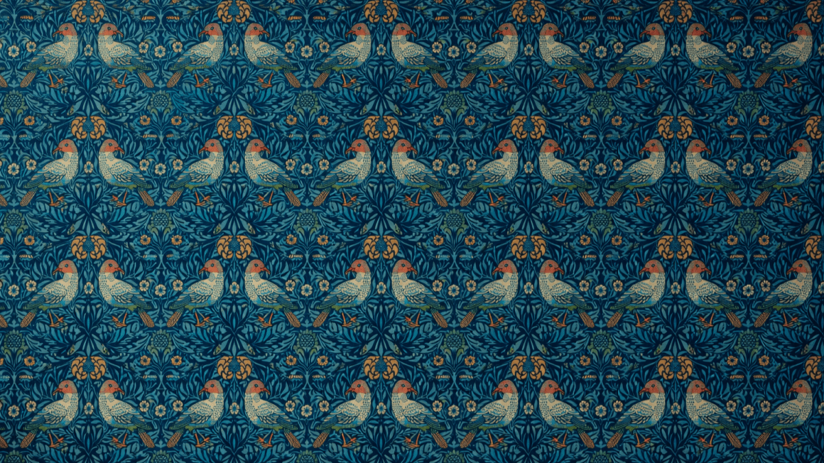 Feathered Nocturne