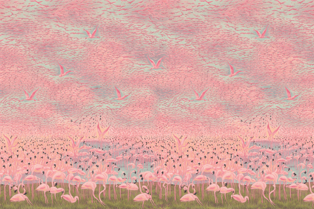 Flamingo Mirage