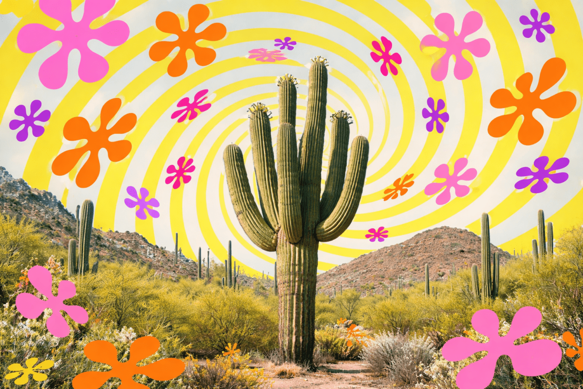 Saguaro Spiral