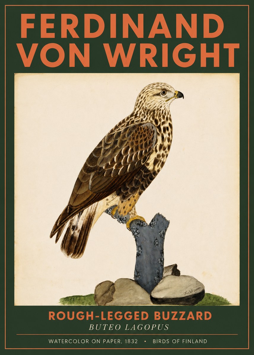 Ferdinand von Wright Rough-legged Buzzard No2 - Poster