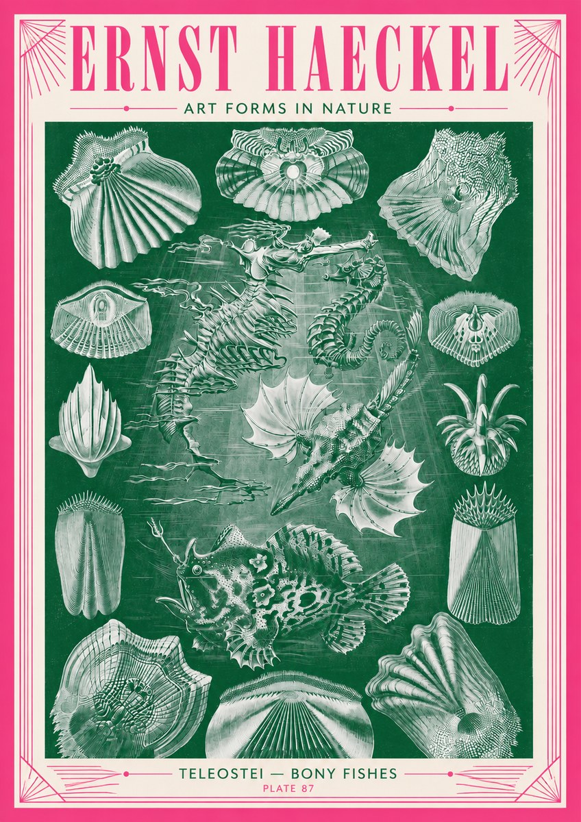 Ernst Haeckel Teleostei - Bony Fishes No3 - Poster