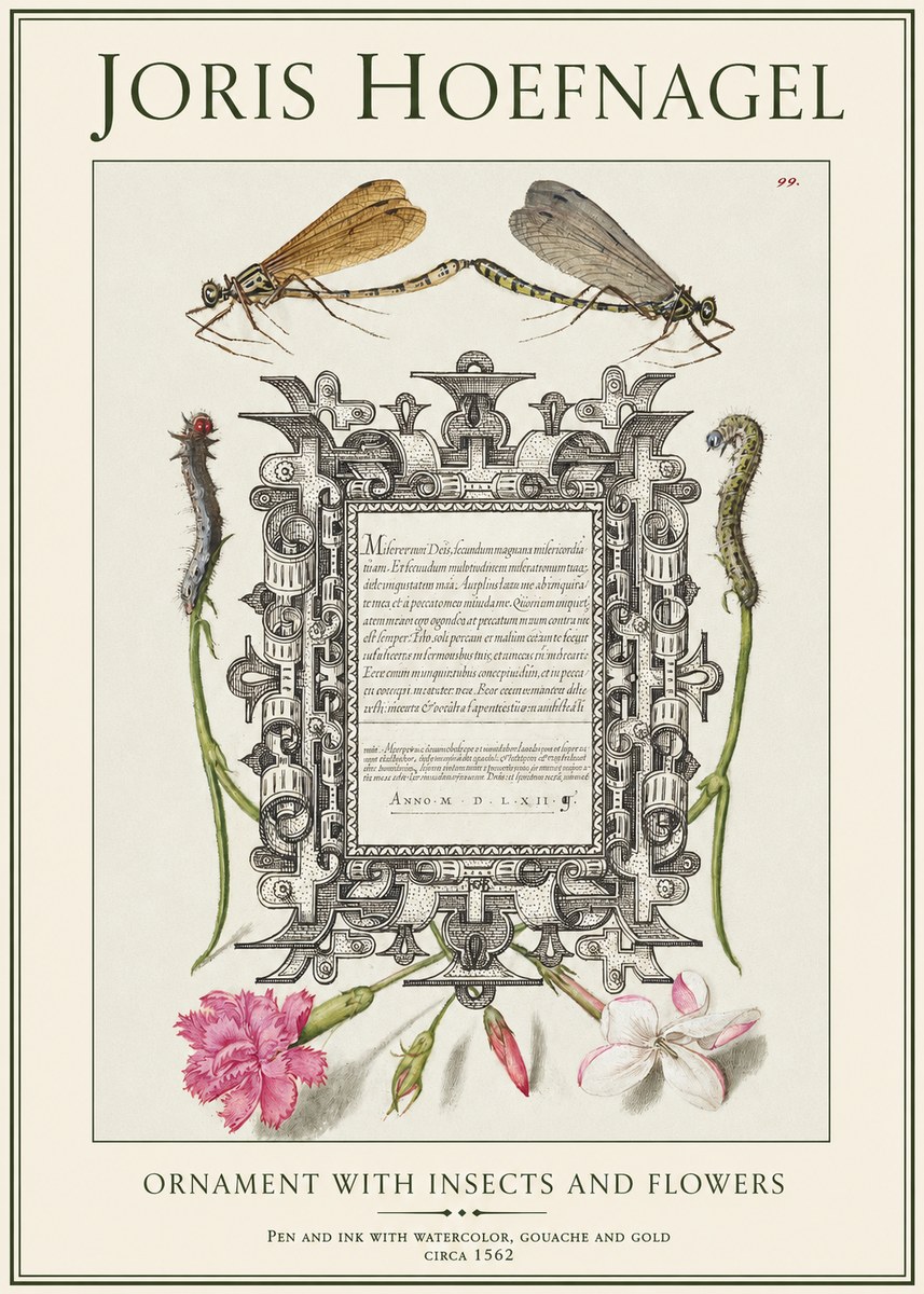 Joris Hoefnagel Ornamental Frame with Damselflies, Caterpillars and Flowers No2 - Poster