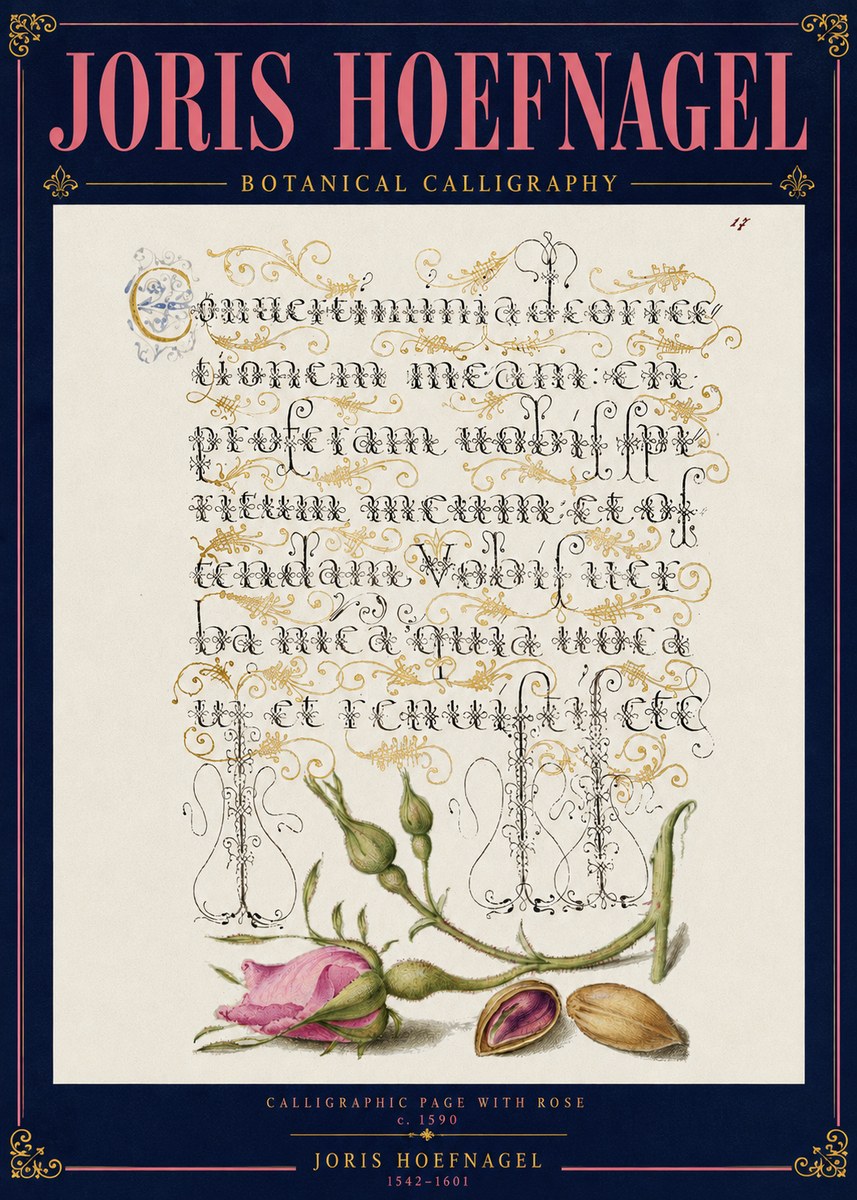 Joris Hoefnagel Calligraphic Page with Rose No4 - Poster