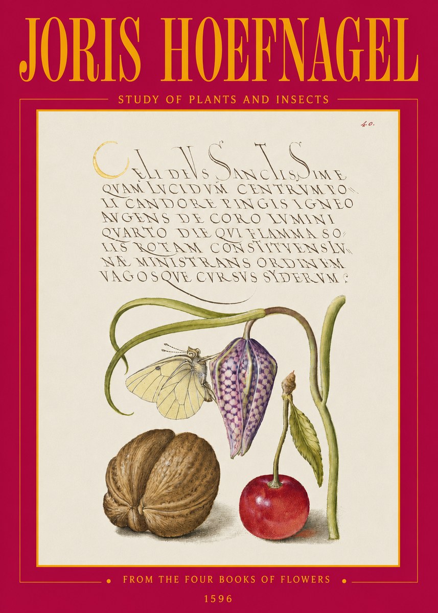 Joris Hoefnagel Study of Plants and Insects No3 - Poster