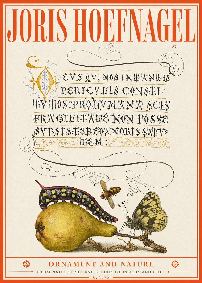 Joris Hoefnagel Ornament and Nature - Illuminated Script and Studies of Insects and Fruit No2 - Poster