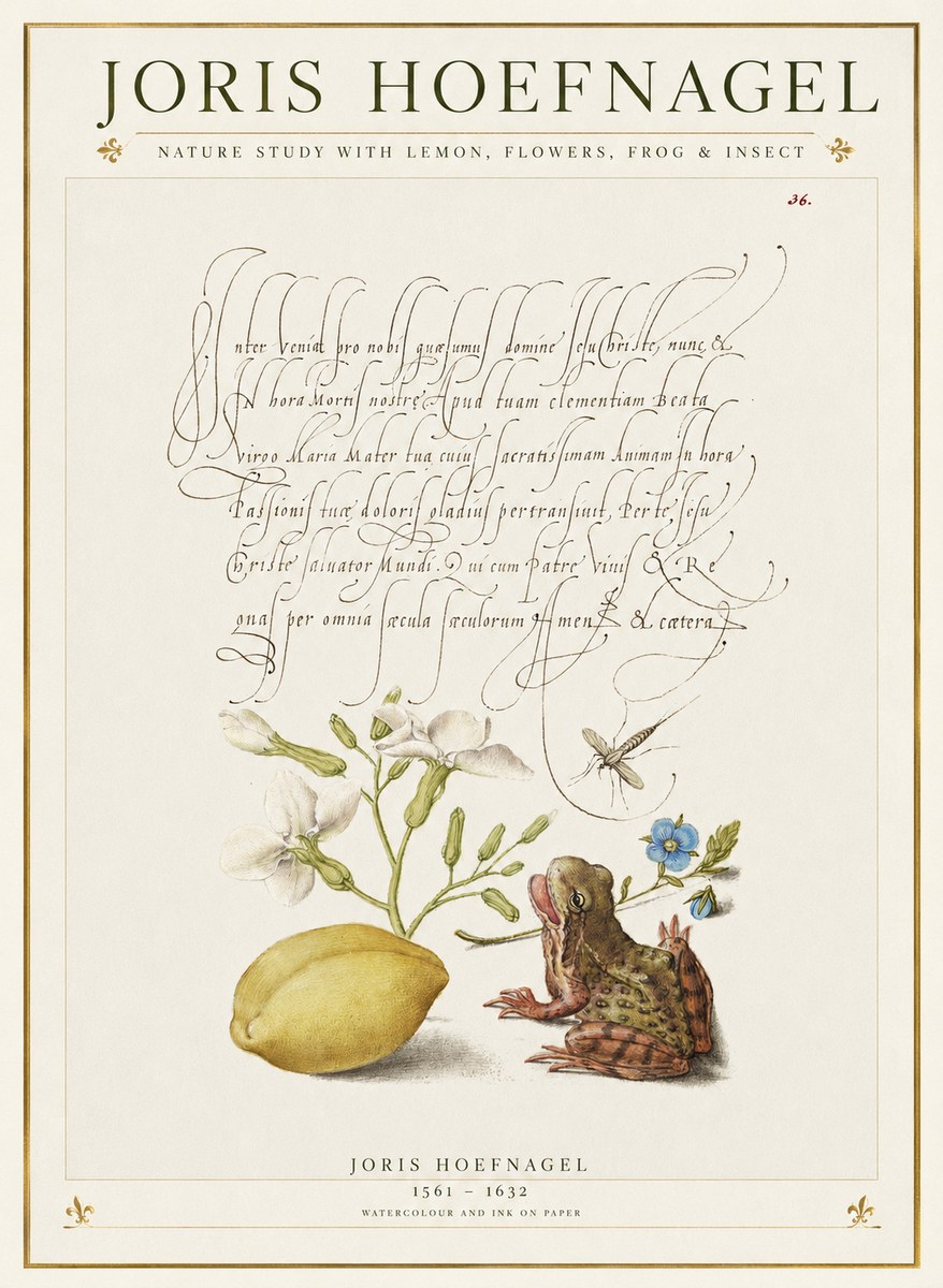 Joris Hoefnagel Nature Study with Lemon, Flowers, Frog & Insect No1 - Poster