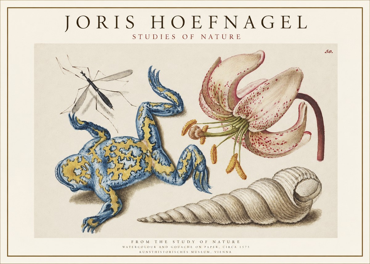 Joris Hoefnagel From the Study of Nature No1 - Poster