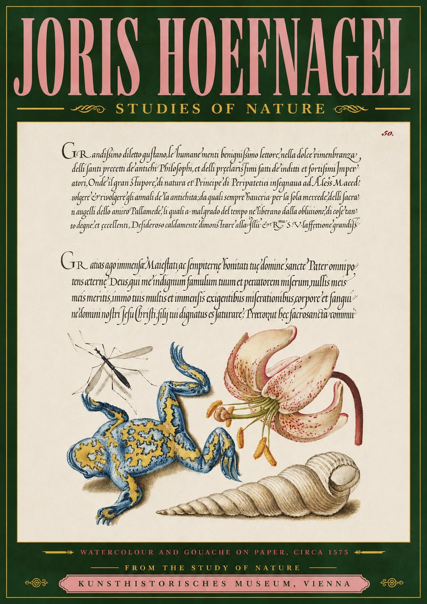 Joris Hoefnagel From the Study of Nature No4 - Poster