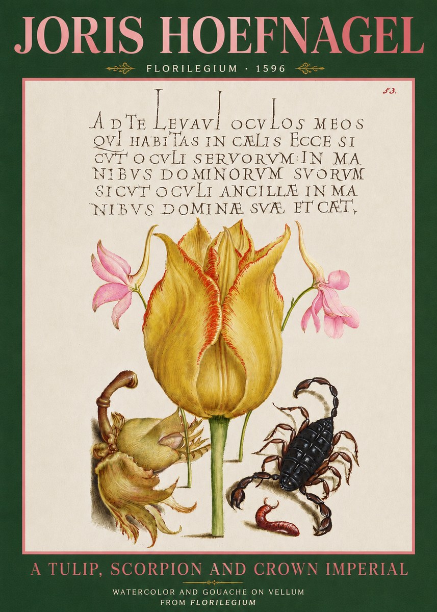 Joris Hoefnagel A Tulip, Scorpion and Crown Imperial No3 - Poster