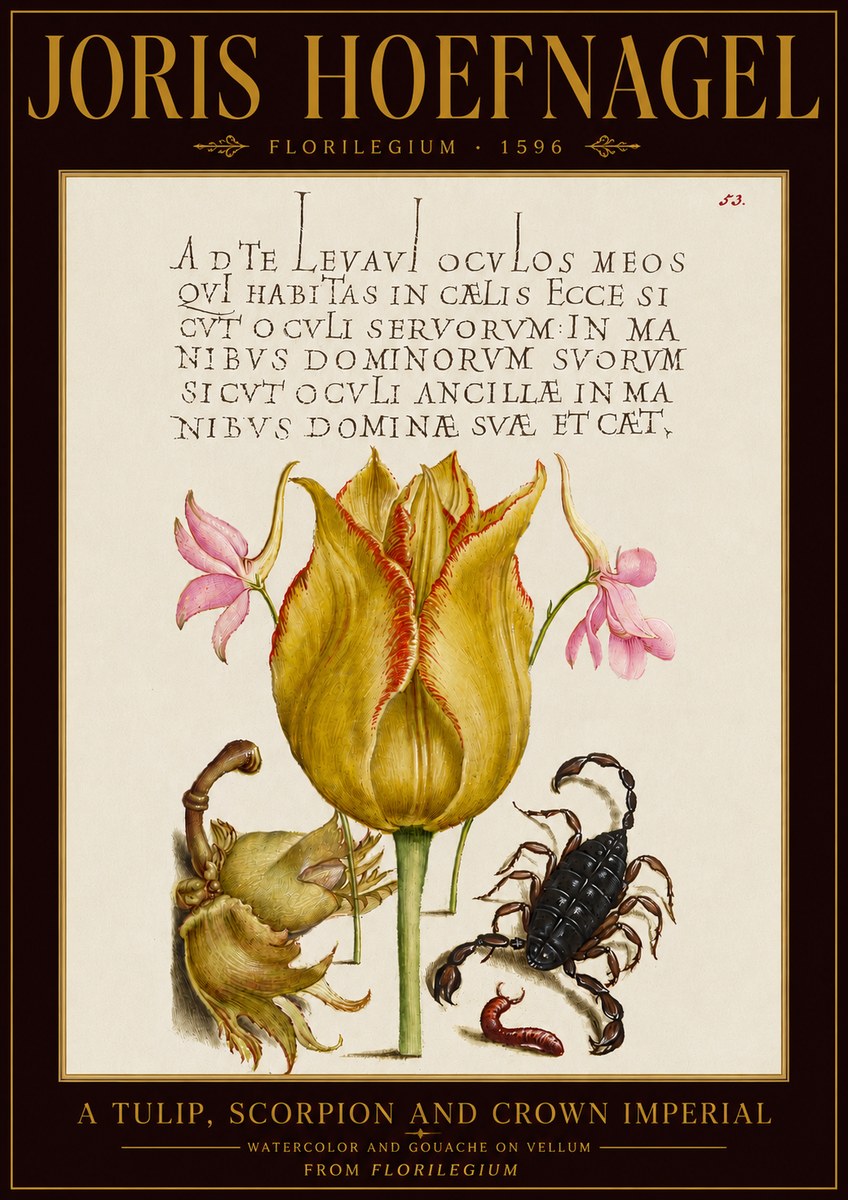 Joris Hoefnagel A Tulip, Scorpion and Crown Imperial No5 - Poster
