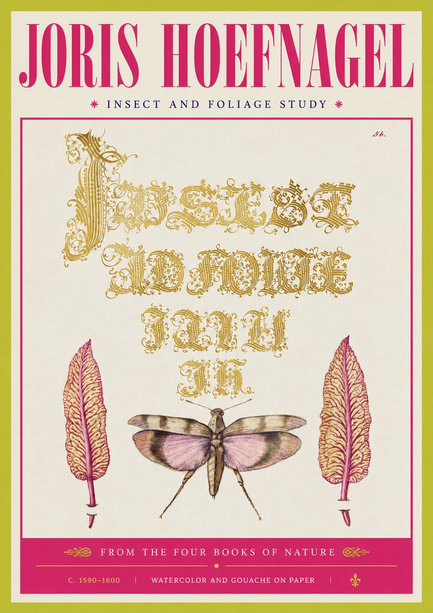 Joris Hoefnagel Insect and Foliage Study No4 - Poster