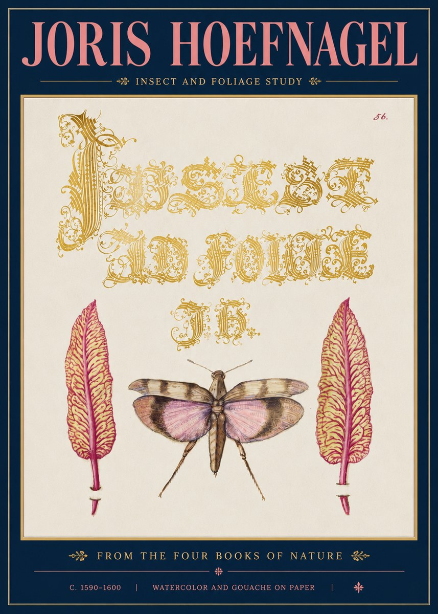 Joris Hoefnagel Insect and Foliage Study No5 - Poster