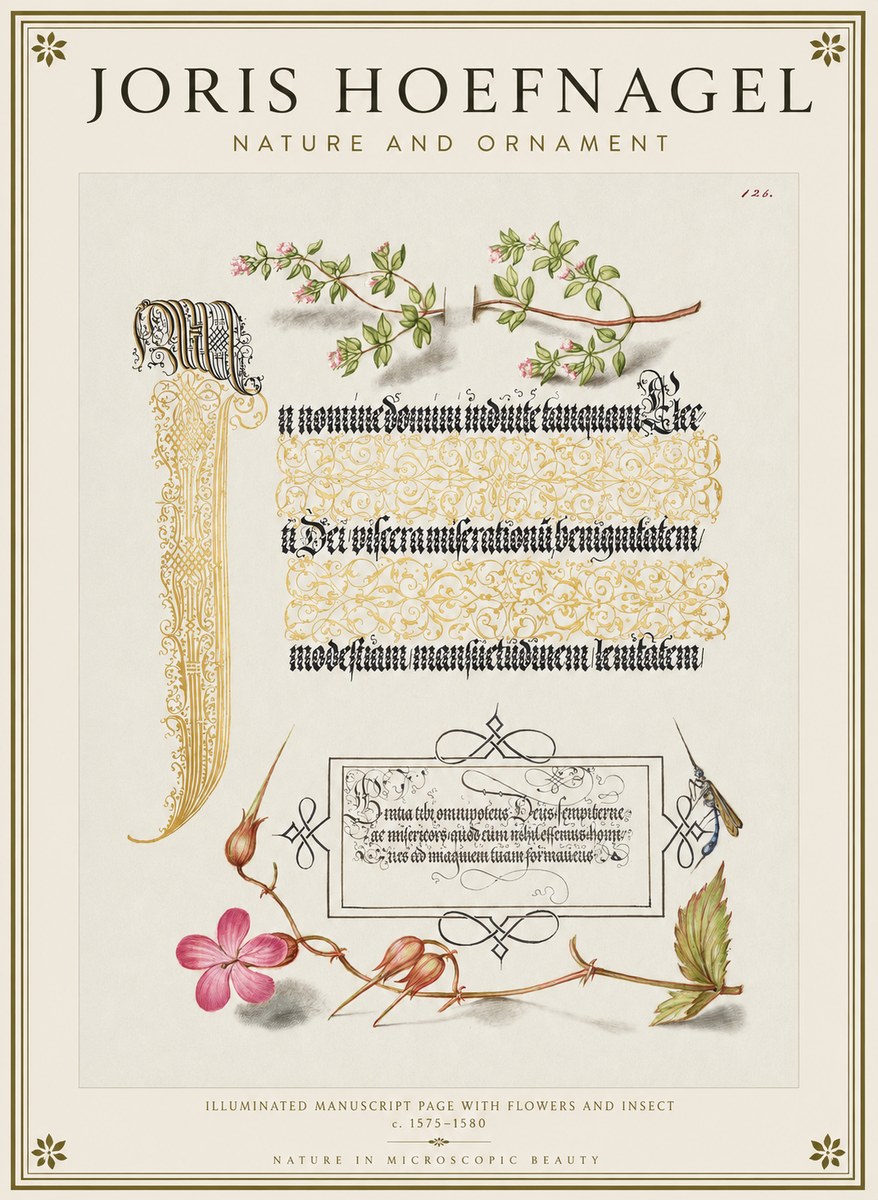 Joris Hoefnagel Illuminated Manuscript Page with Flowers and Insect No1 - Poster