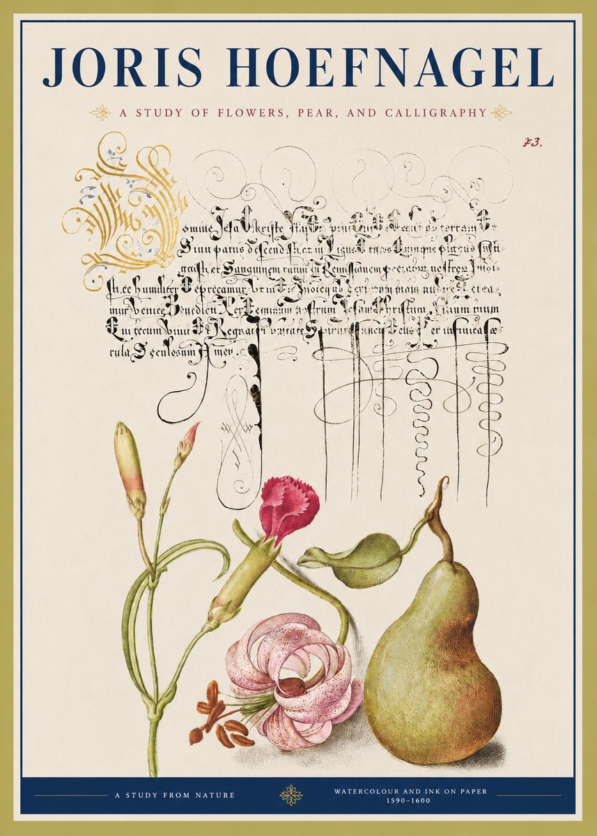 Joris Hoefnagel Botanical Study with Calligraphy II No4 - Poster