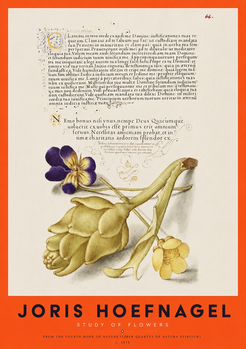 Joris Hoefnagel Botanical Study with Calligraphy III No4 - Poster