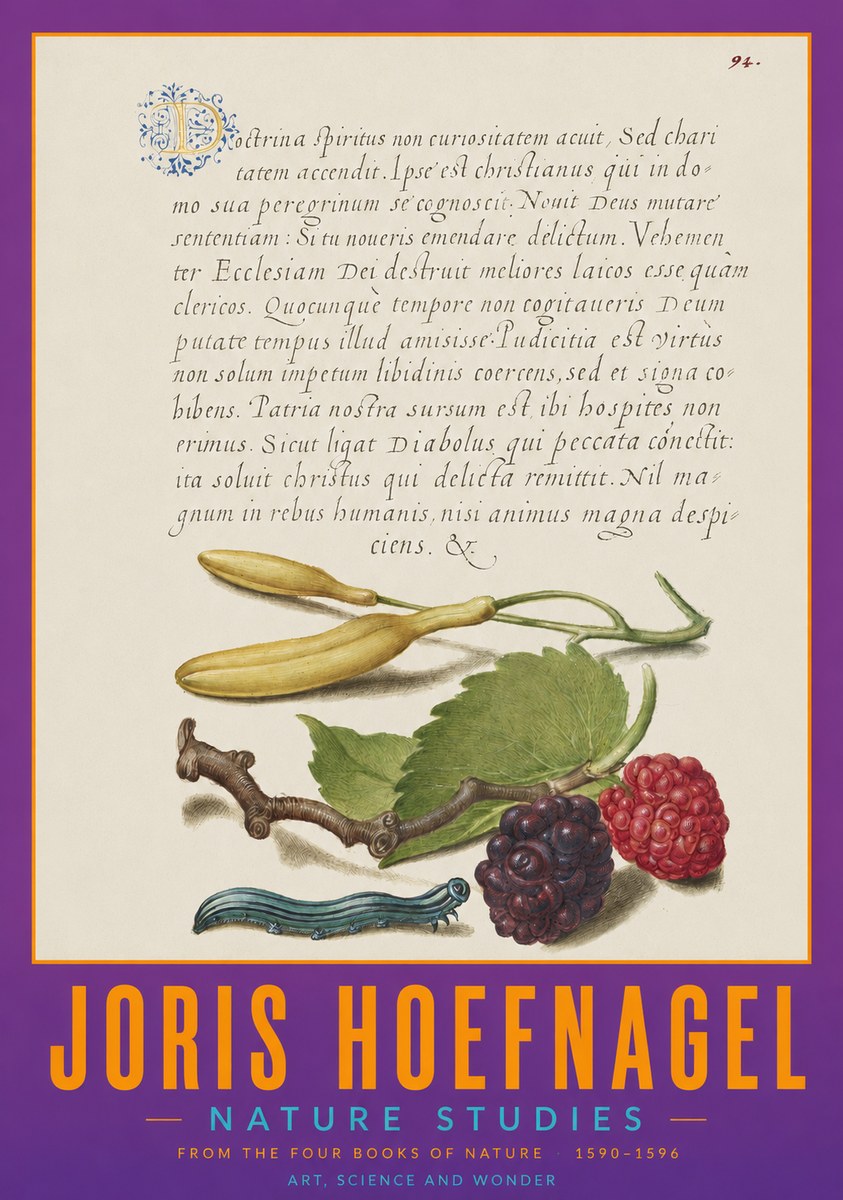 Joris Hoefnagel Nature Studies No2 - Poster